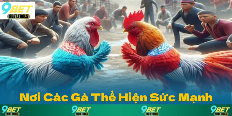 Đá Gà 9BET: Nơi Các Chiến Binh Gà Thể Hiện Sức Mạnh