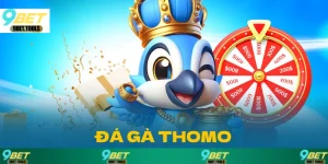 Đá Gà Thomo Cá cược nảy lửa và kịch tính tại 9BET