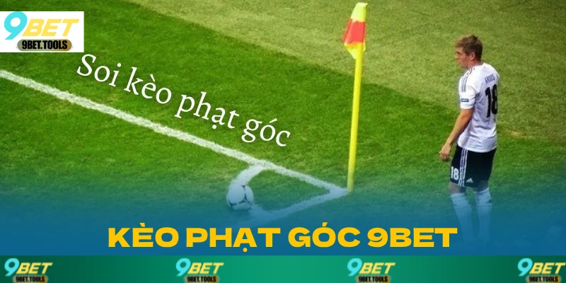 Mẹo soi kèo chuẩn chỉnh từ dân chuyên