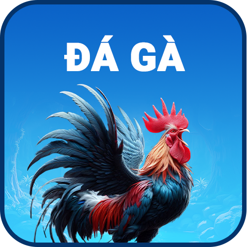Đá gà 9bet